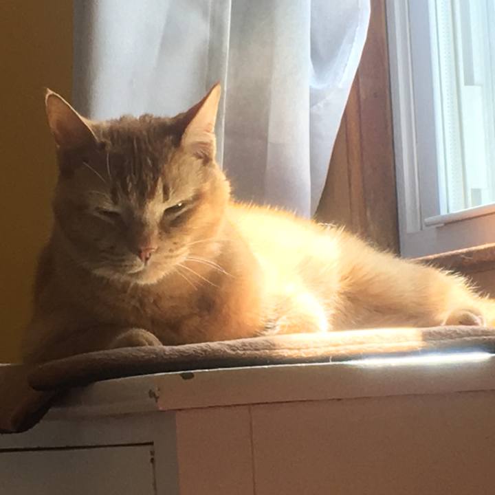 75166e84 c049 488d af4d 1a99b8b07b79 1619226272083