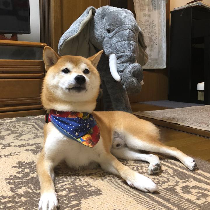 75167f74 388c 4398 a0c8 626ace30a551 1537877041118