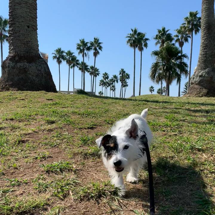 751680a1 933f 47e8 8db4 aa6446a23383 1698458132399