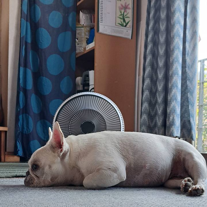 751686df 3302 4f30 ae47 09f242652e3e 1723678510477