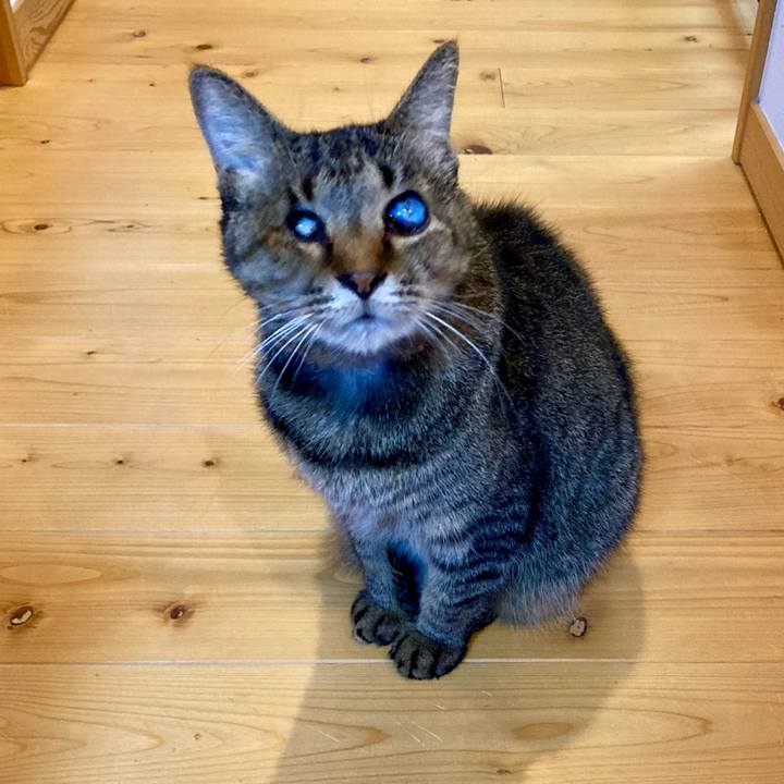 75168d7b 741b 4851 b0ab 59506875ff95 1667035449193