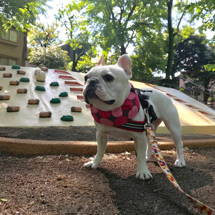 7516b9ca 9611 448c a056 3dc6b358cdcb 1527913695842