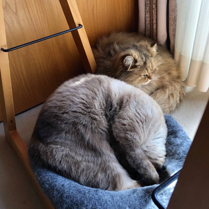 7516c50d d95b 4622 ac9a 168e72ab2ccd 1615981961962