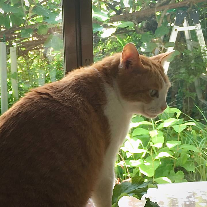 7516f2d7 6869 4542 a308 52726ee03a22 1625195579229