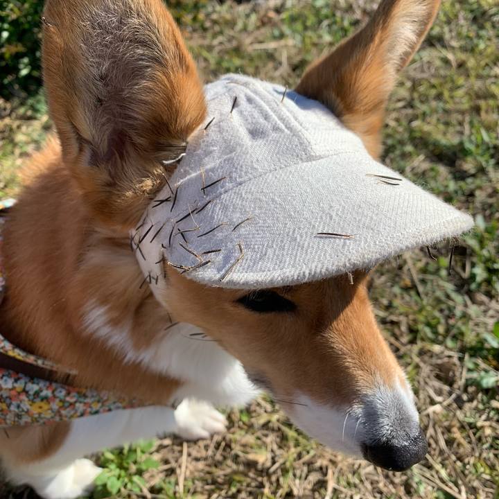 7516f7b6 ba83 41a6 ae9b 02845b4bd5c8 1670390098749