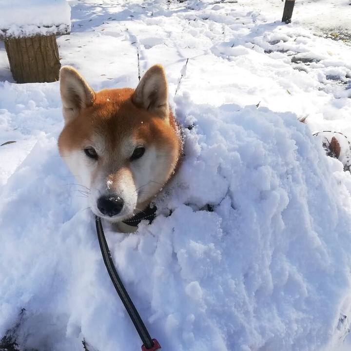 75172426 986f 4364 8afa 3d93291a5ea9 1542939370176