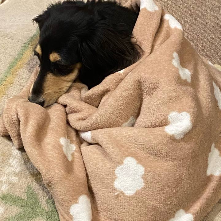 75172783 d0af 4888 a025 12005d89fe4c 1710323052783