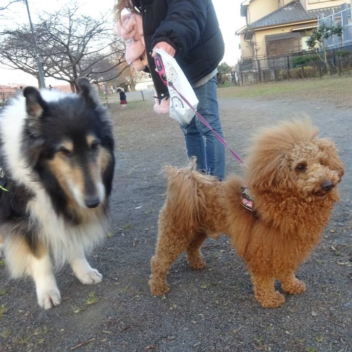 75173b1f 317e 47e3 be69 46eaf70e5330 1609077257229