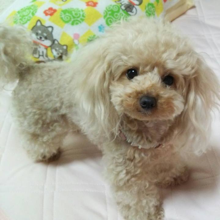 7517438f 2326 42ac b327 cc33862b070c 1529108032766