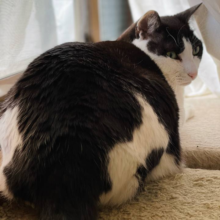 751746e1 7c5d 45a4 aef2 942215ee8089 1652065637292