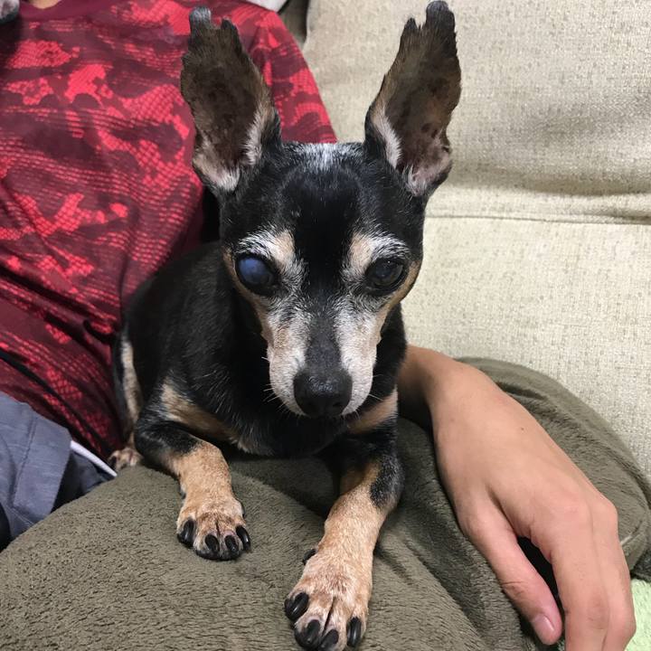 75174bc7 49cd 40b7 85bf 0b1c23a83e09 1567943393284