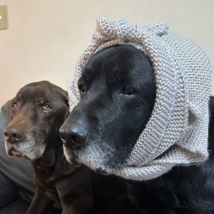 75177a11 2698 4d50 87fd 3d520a04d2a5 1773749823532