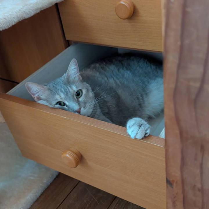 75178763 12c5 4acc 82a7 659d5ff83d1c 1751677181788