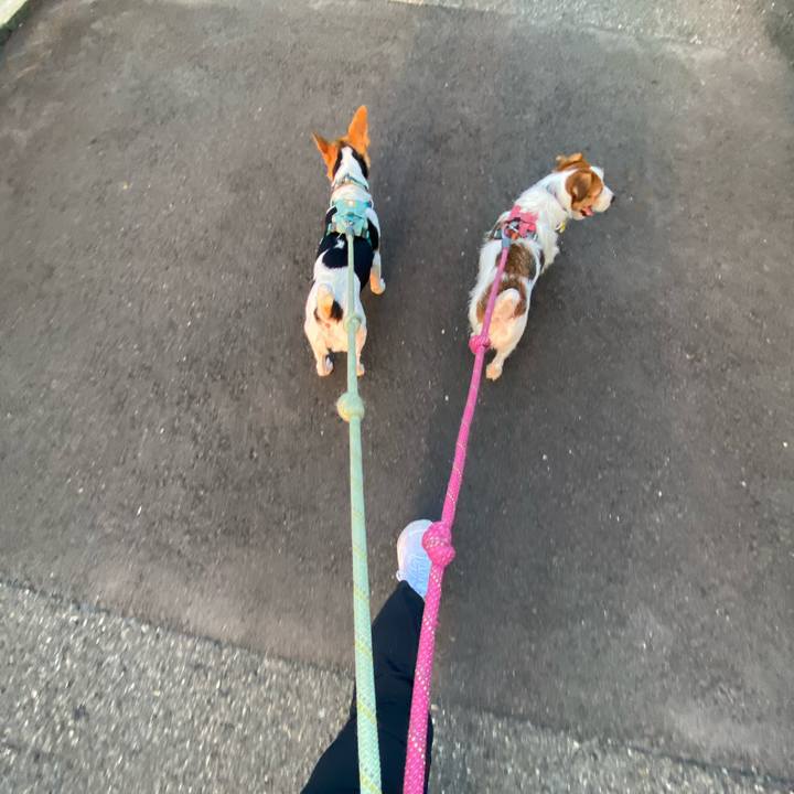 75178b70 b8e6 4a5d 92a0 f183d5a01445 1758114392642