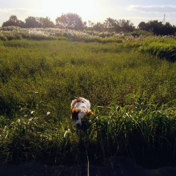 751824ac 10c9 4b75 9137 2588a395d64b 1538393000828