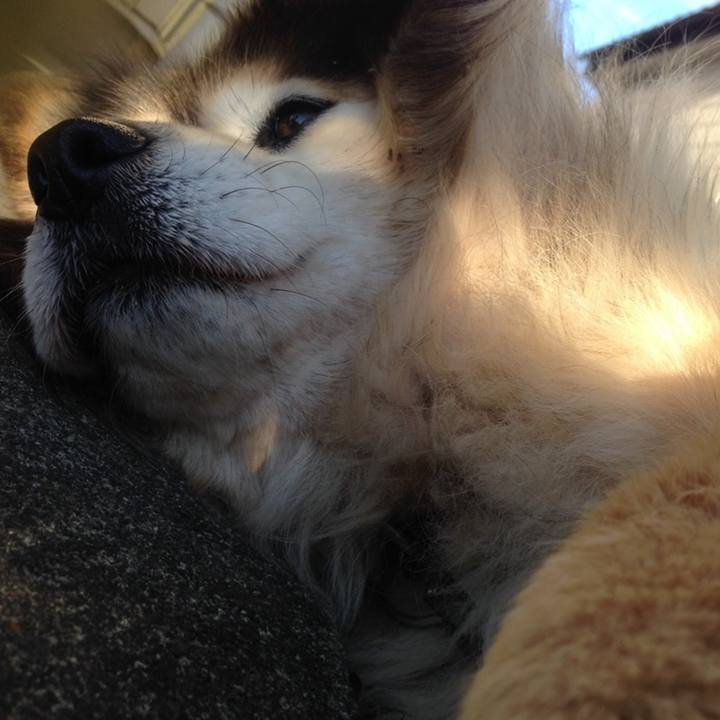 7518dbcc f71f 471d 921e c11ffd71d023 1655721284309