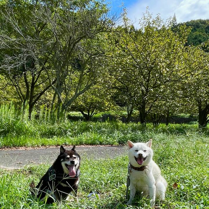 7518ddb4 cc96 4b29 95d6 de212325ea2b 1727144922564