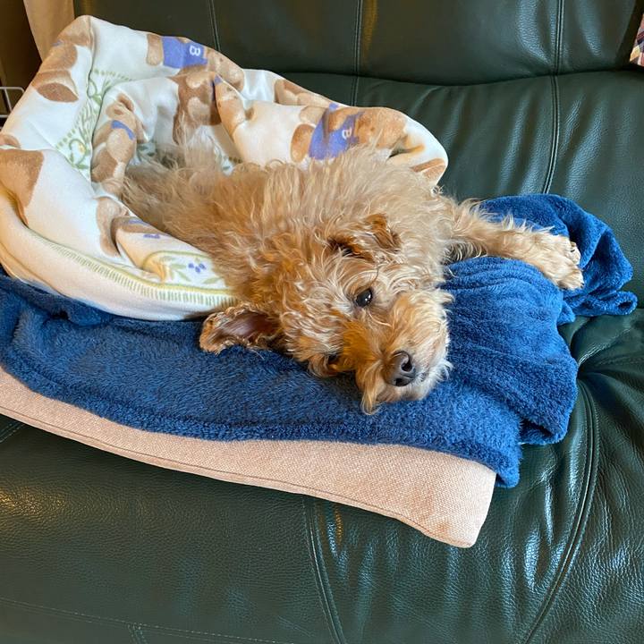 7518de40 d307 434c 856b 32007ad4f657 1702078515618