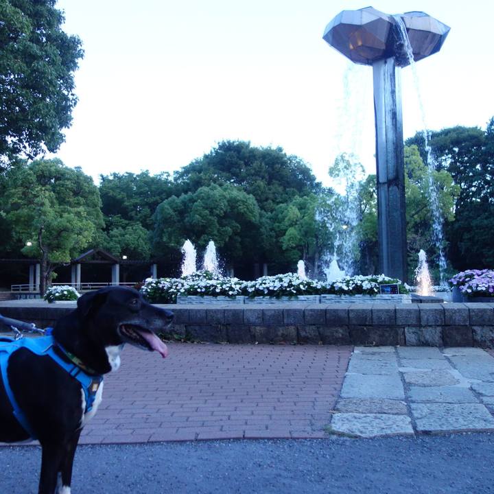 7518e142 d1e3 4892 b6c4 2e632d047723 1690540762825