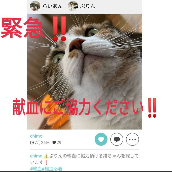 7518e352 00cf 4b17 80e8 c9eb3523069d 1659011768030