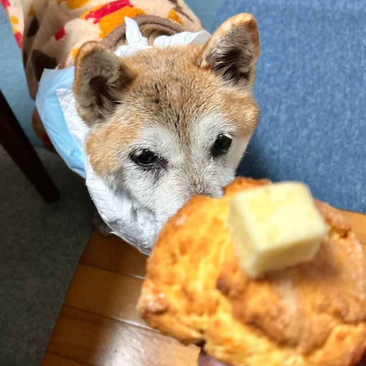 7518e453 a345 40bd aa04 7780a1991447 1764848899439