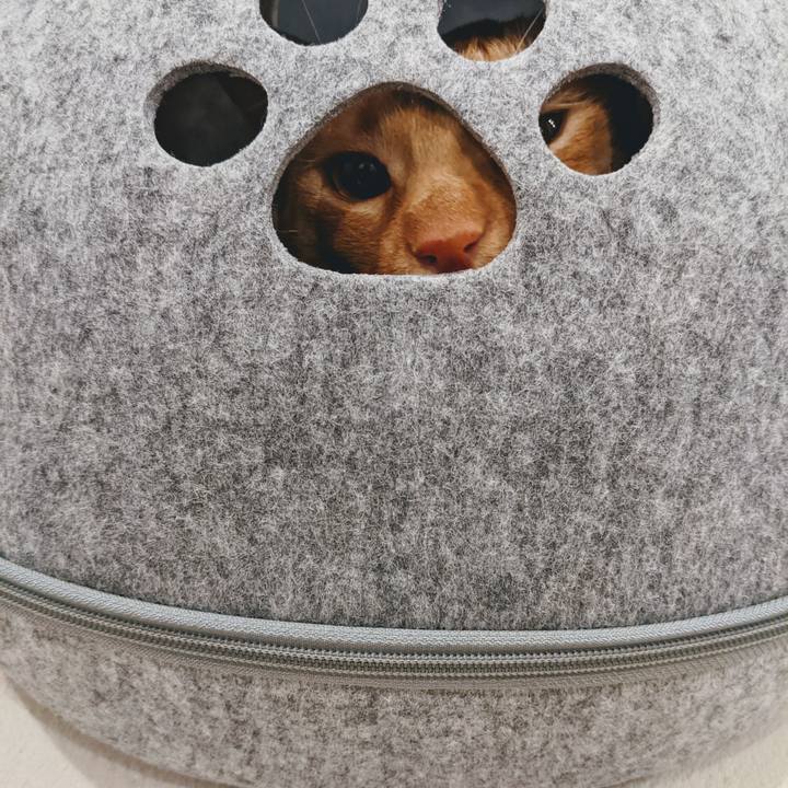 7518ec27 0f6e 4457 8a84 59711066b197 1638664627624