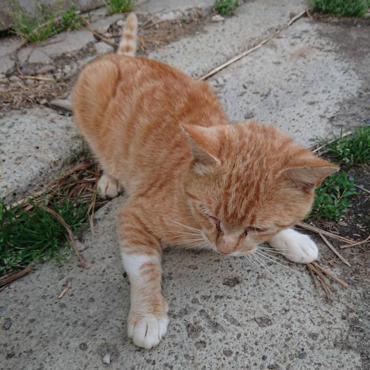 75191762 3d64 40bb acf4 2413d62df057 1558000030763