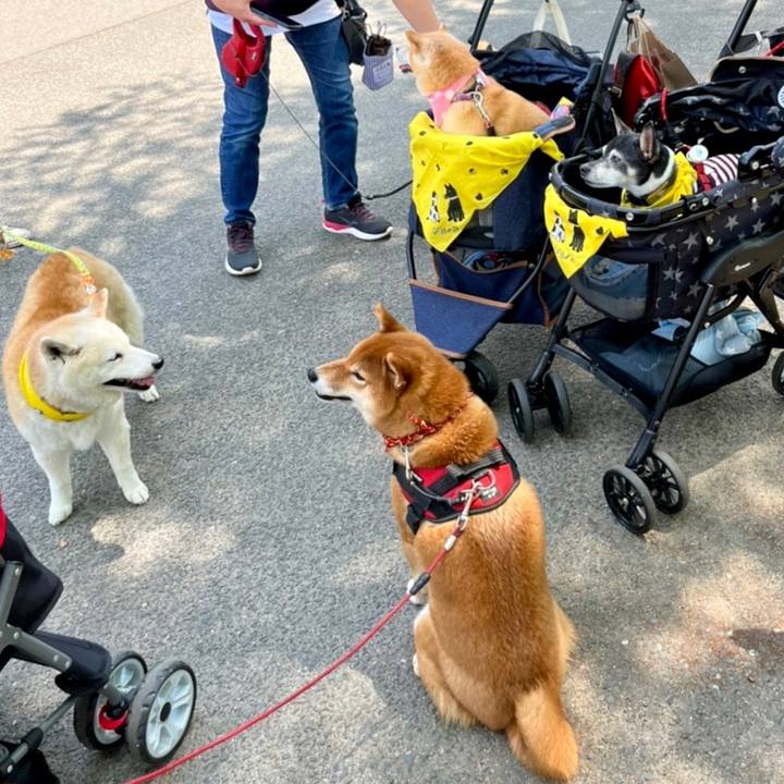 75192abf 5007 4ffe bdf2 2743b8c06a3d 1650702563583