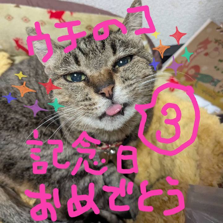 751930d3 d88c 4ace 8ab0 8d6687f9fe00 1754972317855