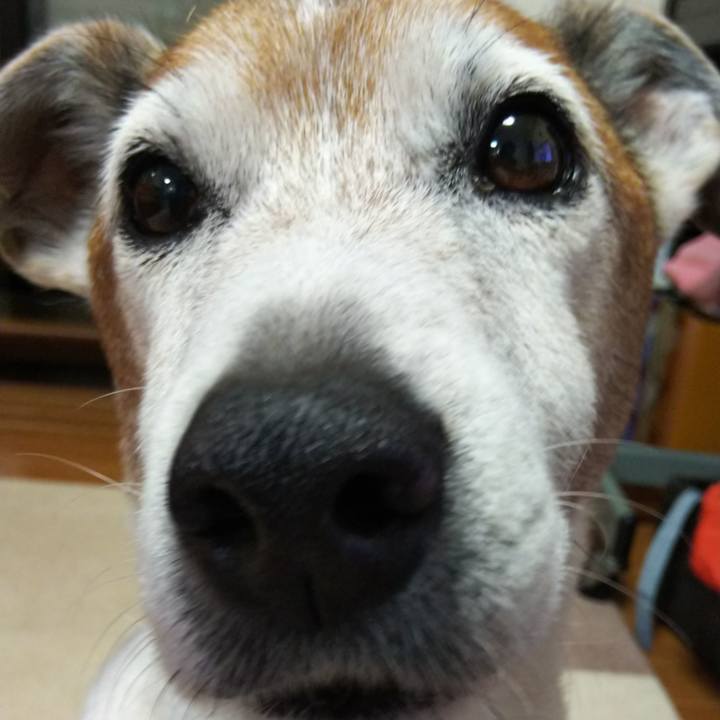 751952d2 b037 4a9b a8d8 d6773348dd59 1523543598218