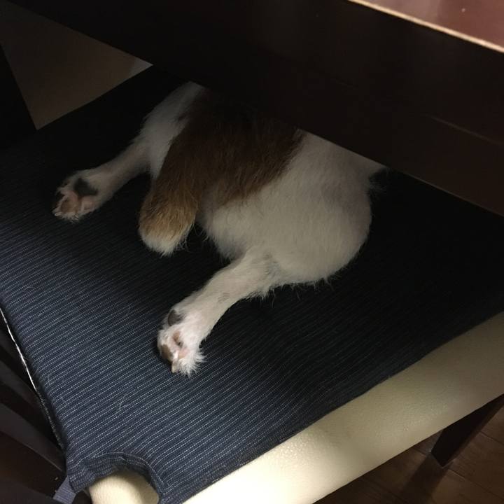 75197e16 8694 4394 b18e 09ec8d7f6491 1628551588560