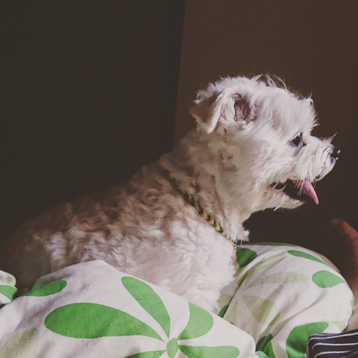 7519ff2e 590e 40c5 bbcd ad7d023535b2 1591099734019