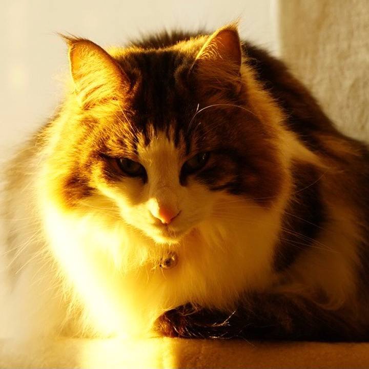 751a0896 dcab 462d 8669 8b5c09fa9890 1643013066119