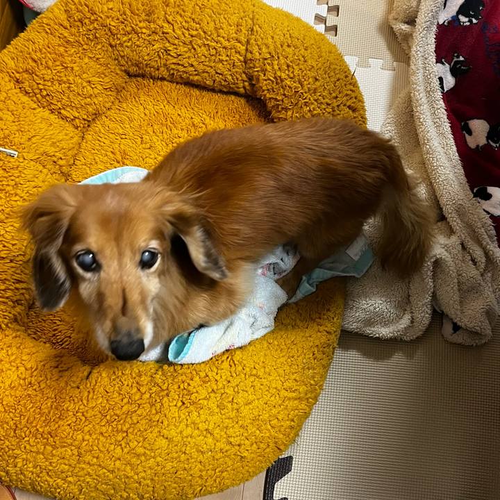 751a2012 8caa 4cb9 a571 7947631664c6 1669896684608