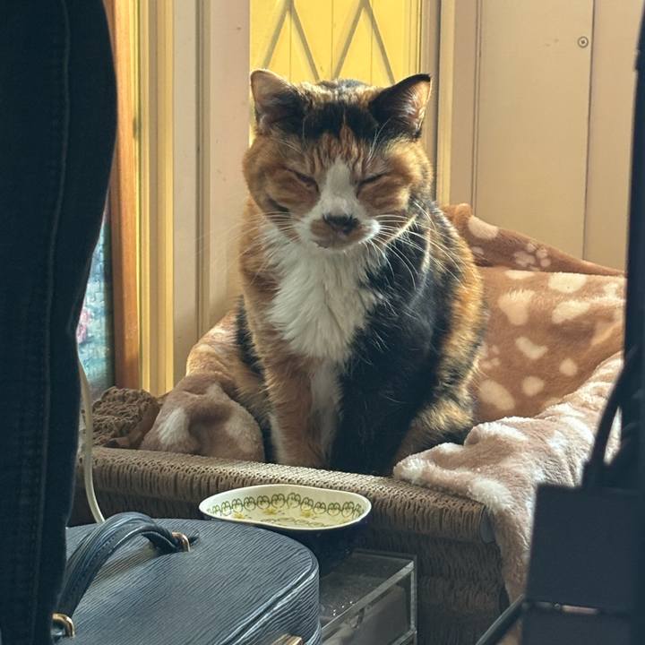 751a5d84 a375 4618 a4b4 0fe451651ec7 1736076384949