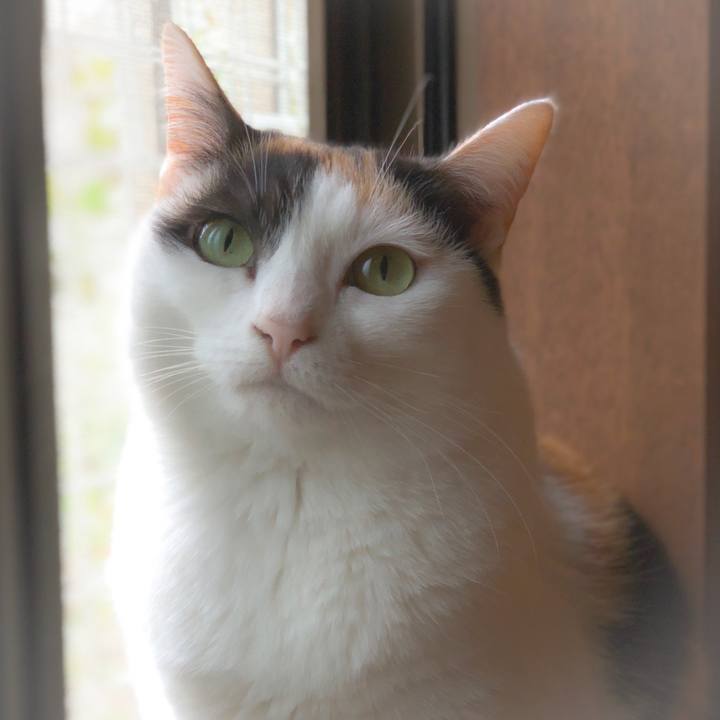 751a7aae 892d 4213 9b46 8d50e77da354 1559008463507