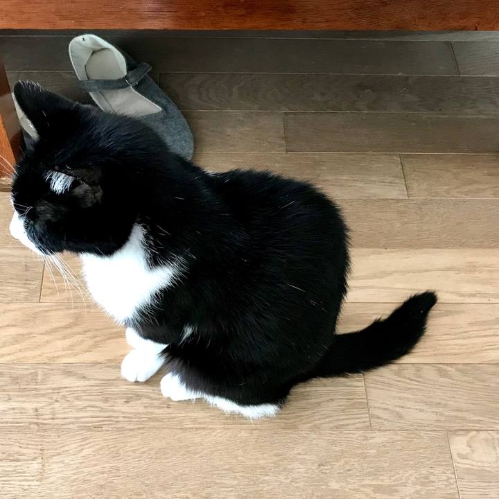 751aa354 839a 4e33 8f3d 59cc73e64dcf 1554260808280