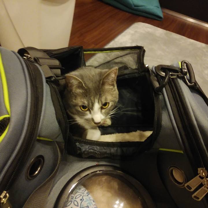 751aa420 610d 4429 a787 7da878bd3c31 1587121576286