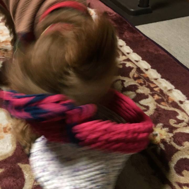 751aa52c 2baa 417a a2be c03207734f72 1520417402457