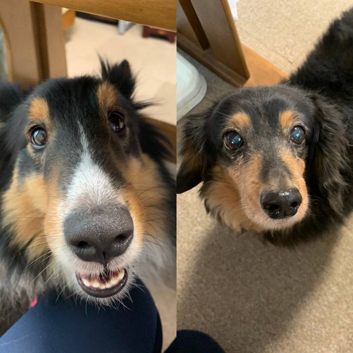 751ac5a4 1052 4382 bc8e 60f73a3259a4 1581458350940