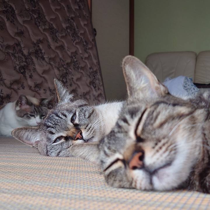 751ad192 f5d8 4880 992a 7a4ba7c9205c 1718269284898