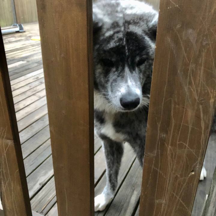 751ae085 61f4 4be3 a387 8fc6c8e88c4c 1583724719722