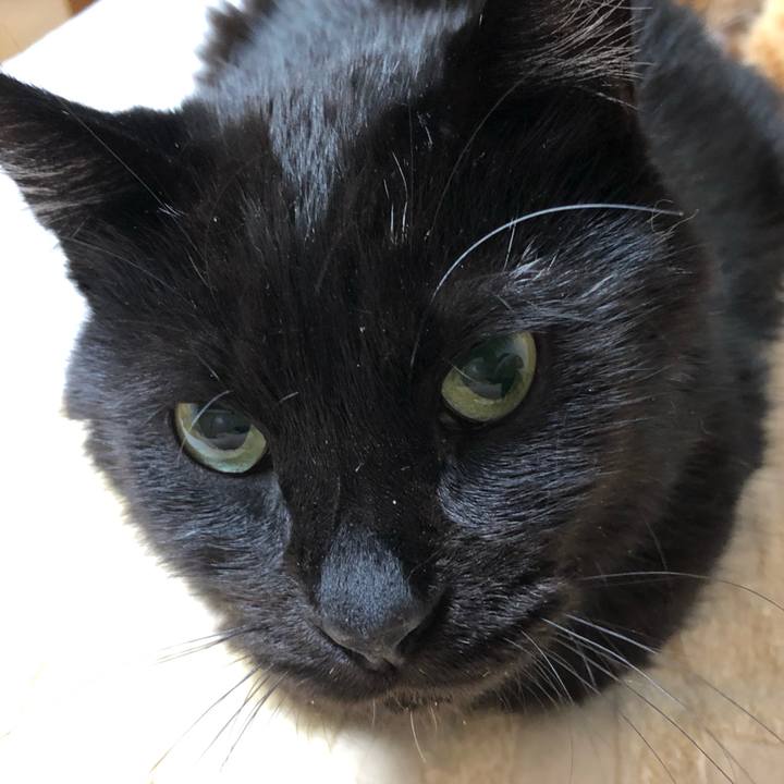 751af000 4138 4303 90f1 6cdc160b4d96 1592581286621