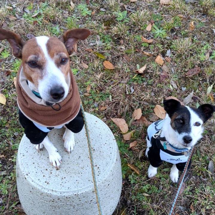 751b03c0 1c78 4bd9 aeb2 522f12abbc08 1733527324393