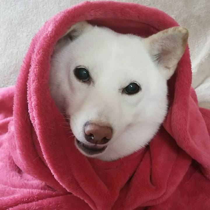 751b4b7b df95 49e2 b613 53222f098260 1574211899816