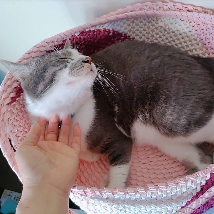 751b6763 2f10 4dd8 8925 fc7818300f76 1658960768945