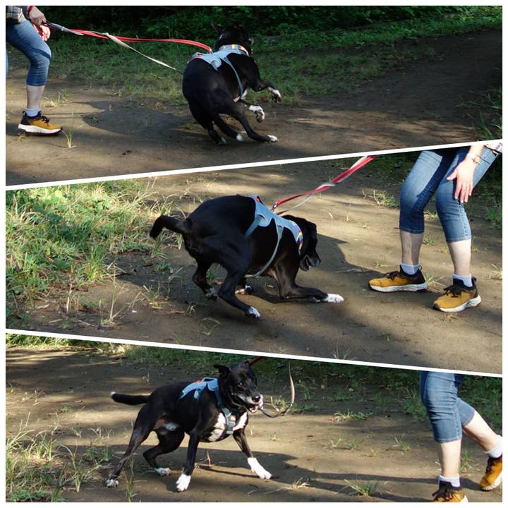 751b7545 db47 4797 8ad7 6cb2c2afa2e8 1726618435755