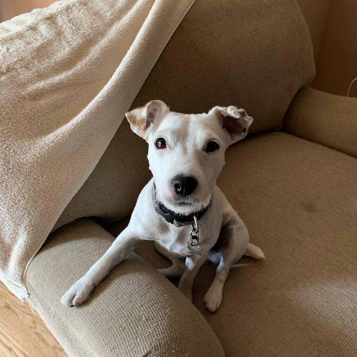 751c8f70 f893 4ca8 ae8c f3e73d0a750b 1561685960224