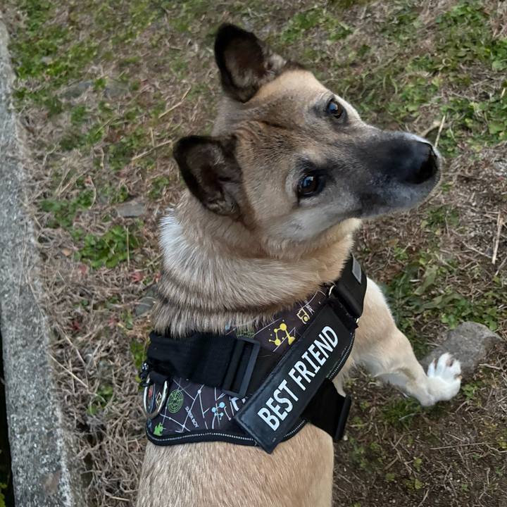 751cbcc9 9955 4213 8cde 3121c8dbd431 1734781976501