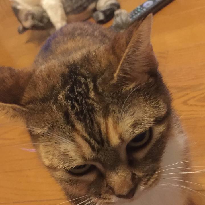 751cfc10 18d6 49df 87f5 c4c7449a2d18 1571364114582